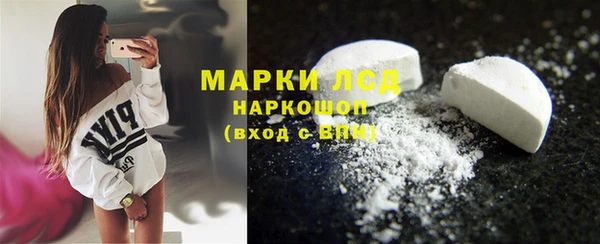 ECSTASY Горняк