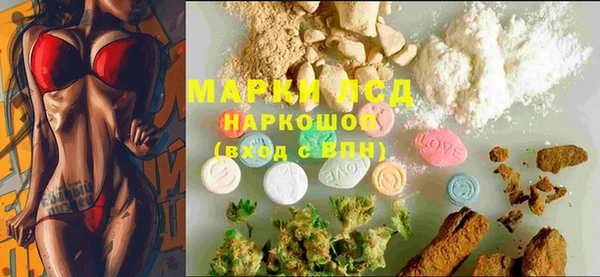 ECSTASY Горняк