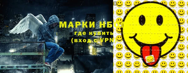 ECSTASY Горняк