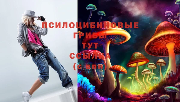 мяу мяу кристалл Горно-Алтайск