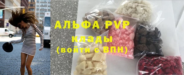 ECSTASY Горняк