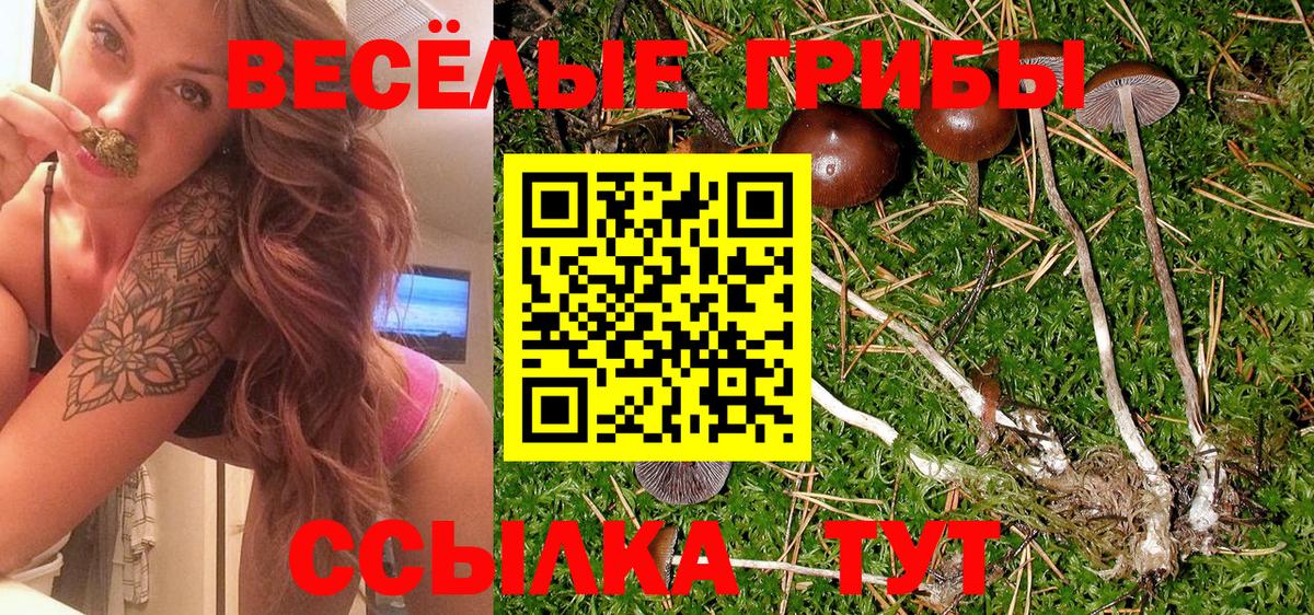 где купить наркоту  Псилоцибиновые грибы ЛСД  Зеленодольск  Псилоцибиновые грибы прущие грибы 