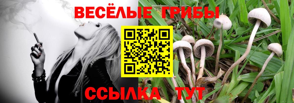 Галлюциногенные грибы Cubensis  Вход с VPN  Зеленодольск 